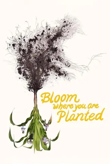 Bloom Where You Are Planted