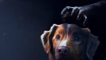 Zasłona do filmu "Good boy" #517143
