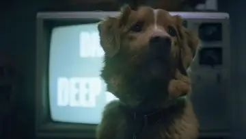 Zasłona do filmu "Good boy" #517157
