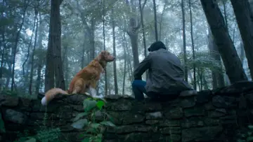 Zasłona do filmu "Good boy" #517166