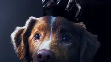 Zasłona do filmu "Good boy" #517172