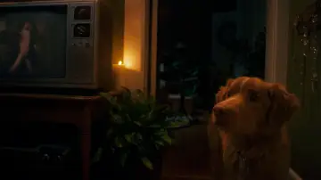 Zasłona do filmu "Good boy" #517195