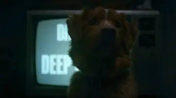 Zasłona do filmu "Good boy" #517199