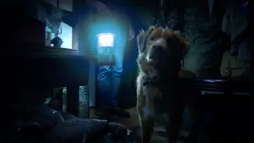 Zasłona do filmu "Good boy" #517214