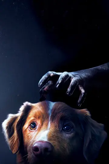 Plakat do filmu "Good boy" #517290