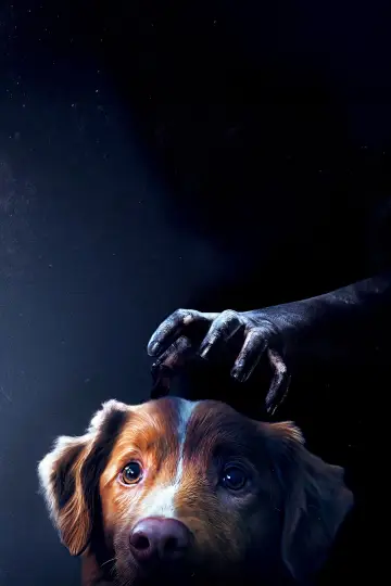 Plakat do filmu "Good boy" #517304