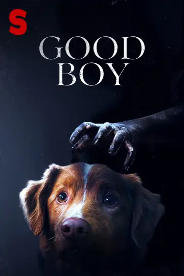 Plakat do filmu "Good boy" #517314