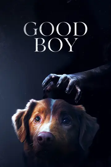 Plakat do filmu "Good boy" #517321