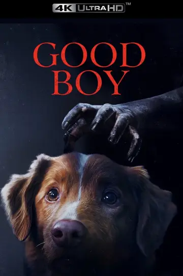 Plakat do filmu "Good boy" #517407