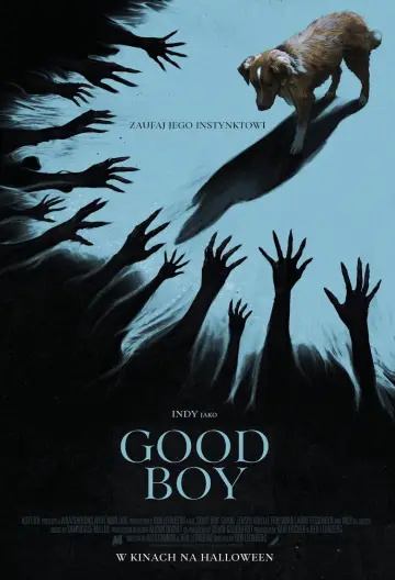 Plakat do filmu "Good boy" #517438