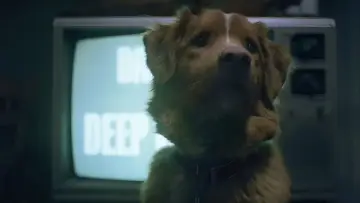 Zasłona do filmu "Good boy" #770382