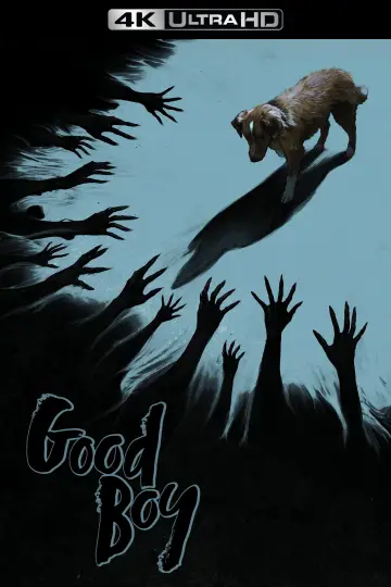 Plakat do filmu "Good boy" #770385