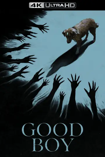 Plakat do filmu "Good boy" #770387