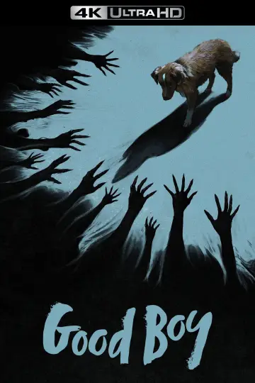 Plakat do filmu "Good boy" #770393