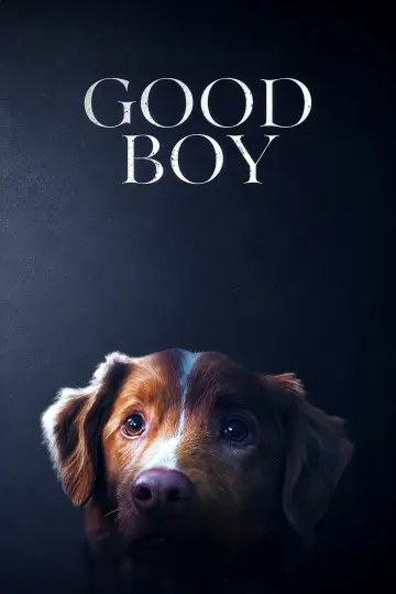 Plakat do filmu "Good boy" #830669