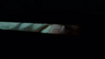 Zasłona do filmu "Czarna kula" #1907075