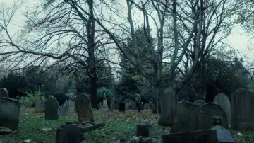 Zasłona do filmu "Marion