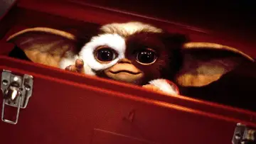 Zasłona do filmu "Gremlins 3" #1183209