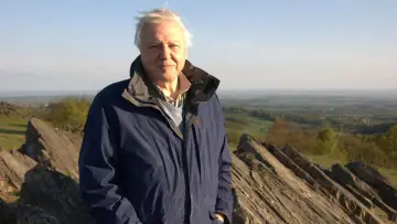 Zasłona do filmu "Attenborough
