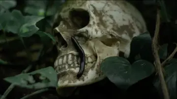 Zasłona do filmu "Sambhavam" #807136