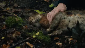 Zasłona do filmu "Morgen vor langer Zeit" #1829808