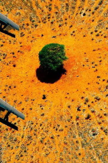 Nature : pour une réconciliation plakat