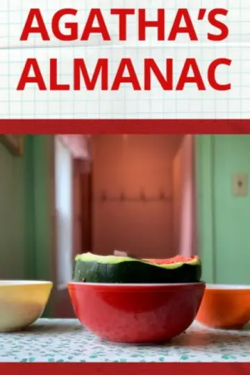 Plakat do filmu "Agatha’s Almanac" #820099