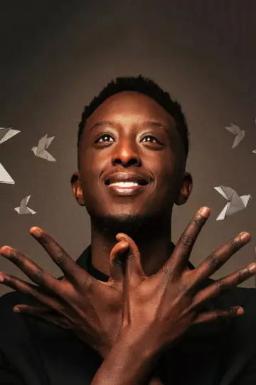 Ahmed Sylla - Origami plakat