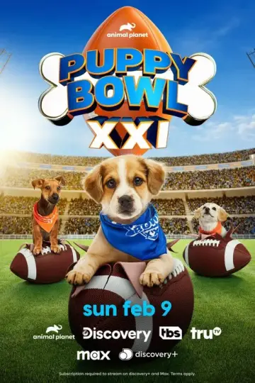 Plakat do filmu "Puppy Bowl XXI" #653361