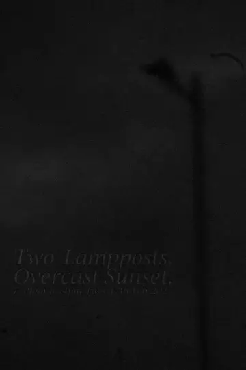 Plakat do filmu "Two Lampposts, Overcast Sunset, 7.58pm-8.34pm Tues 17th Feb 2025" #941320