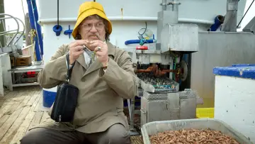 Zasłona do filmu "Horst Schlämmer sucht das Glück" #796670