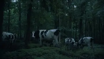 Zasłona do filmu "Ailleurs la nuit" #1143369