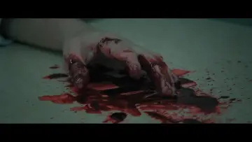 Zasłona do filmu "Lisik: Origin Point" #1646010
