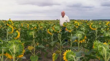 Zasłona do filmu "Beau comme un tracteur" #1175397