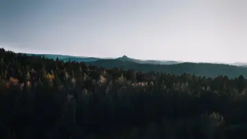 Zasłona do filmu "La découverte de la Chouette d