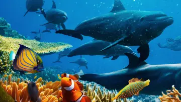 Zasłona do filmu "David Attenborough Świat oceanów" #617826