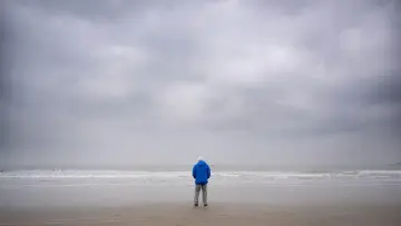 Zasłona do filmu "David Attenborough Świat oceanów" #617828