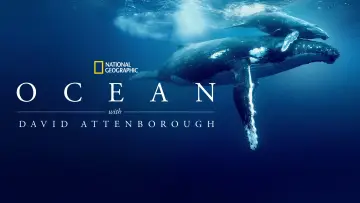 Zasłona do filmu "David Attenborough Świat oceanów" #617830