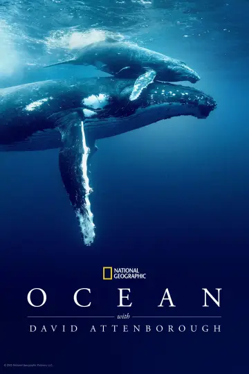 Plakat do filmu "David Attenborough Świat oceanów" #617839