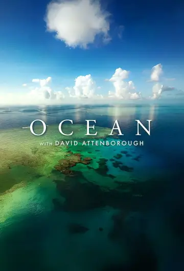 Plakat do filmu "David Attenborough Świat oceanów" #617840
