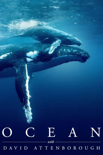 Plakat do filmu "David Attenborough Świat oceanów" #617845