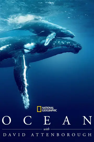 Plakat do filmu "David Attenborough Świat oceanów" #617849
