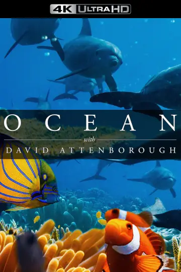 Plakat do filmu "David Attenborough Świat oceanów" #617860