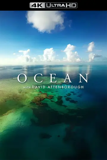 Plakat do filmu "David Attenborough Świat oceanów" #617861