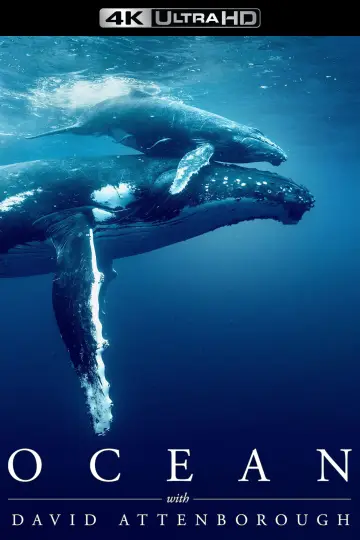 Plakat do filmu "David Attenborough Świat oceanów" #617863
