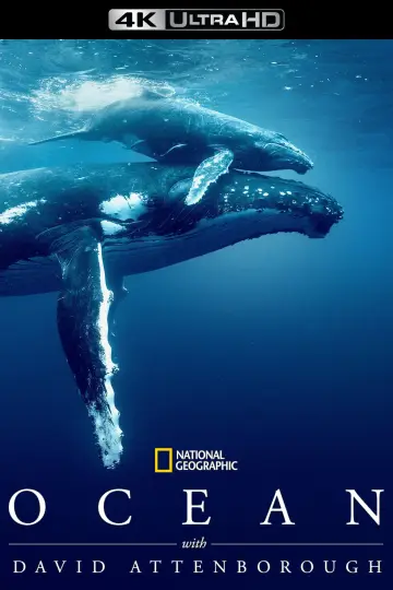 Plakat do filmu "David Attenborough Świat oceanów" #617872