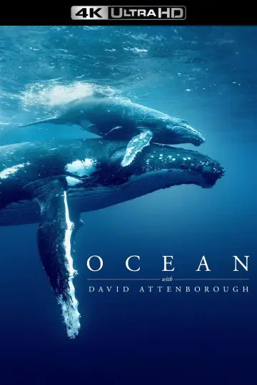 Plakat do filmu "David Attenborough Świat oceanów" #617873