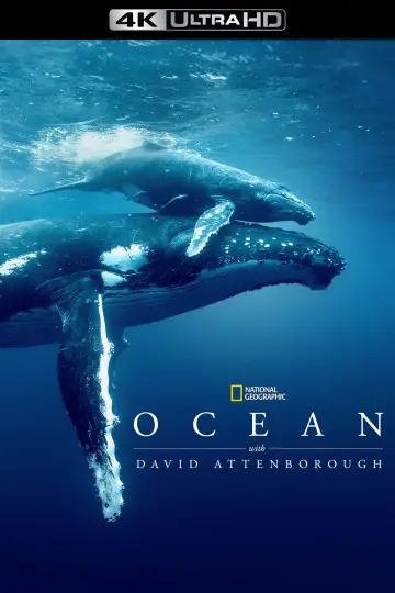 Plakat do filmu "David Attenborough Świat oceanów" #617874