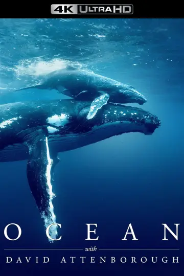 Plakat do filmu "David Attenborough Świat oceanów" #617876