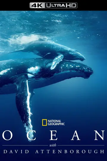 Plakat do filmu "David Attenborough Świat oceanów" #617877